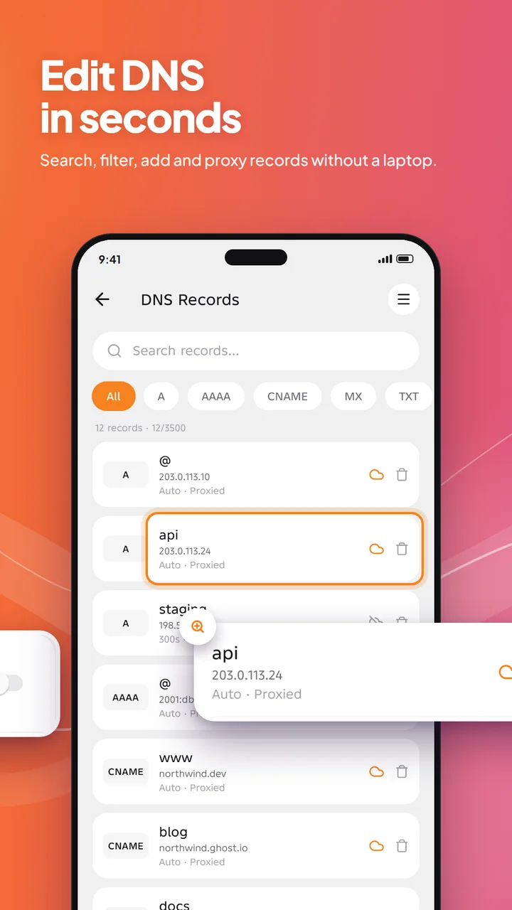 Edit DNS in seconds